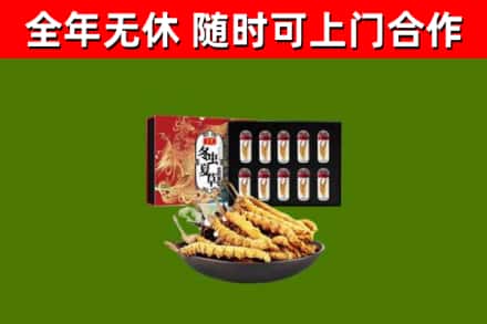 池州烟酒回收冬虫夏草礼盒.jpg