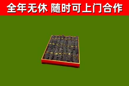 池州回收海参